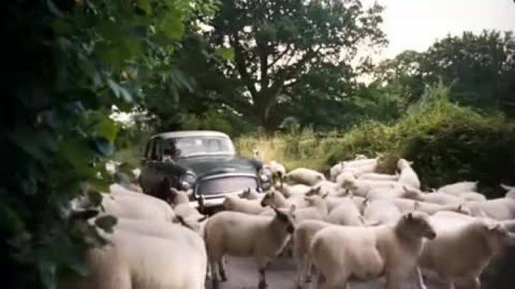 country_life_butter.mp4